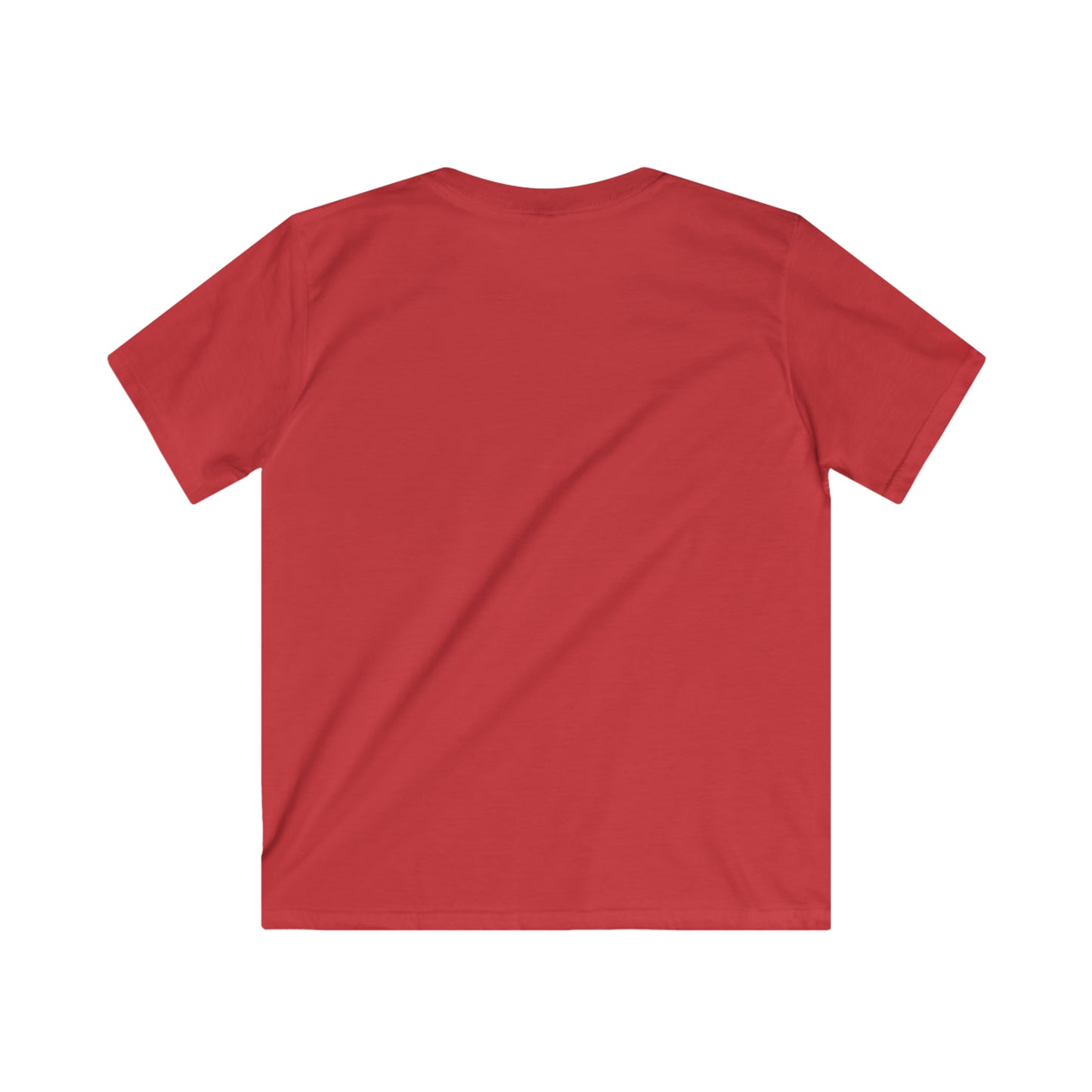 "The theory of everything" Single Print Kids Softstyle Tee