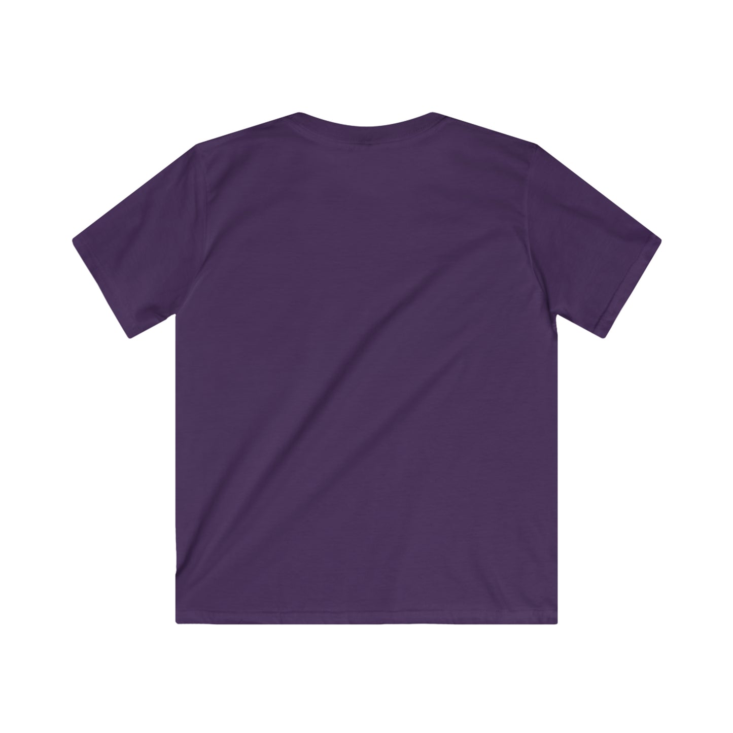 "The theory of everything" Single Print Kids Softstyle Tee
