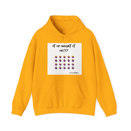 "It is what it is female" Unisex Heavy Blend™ Hooded Sweatshirt