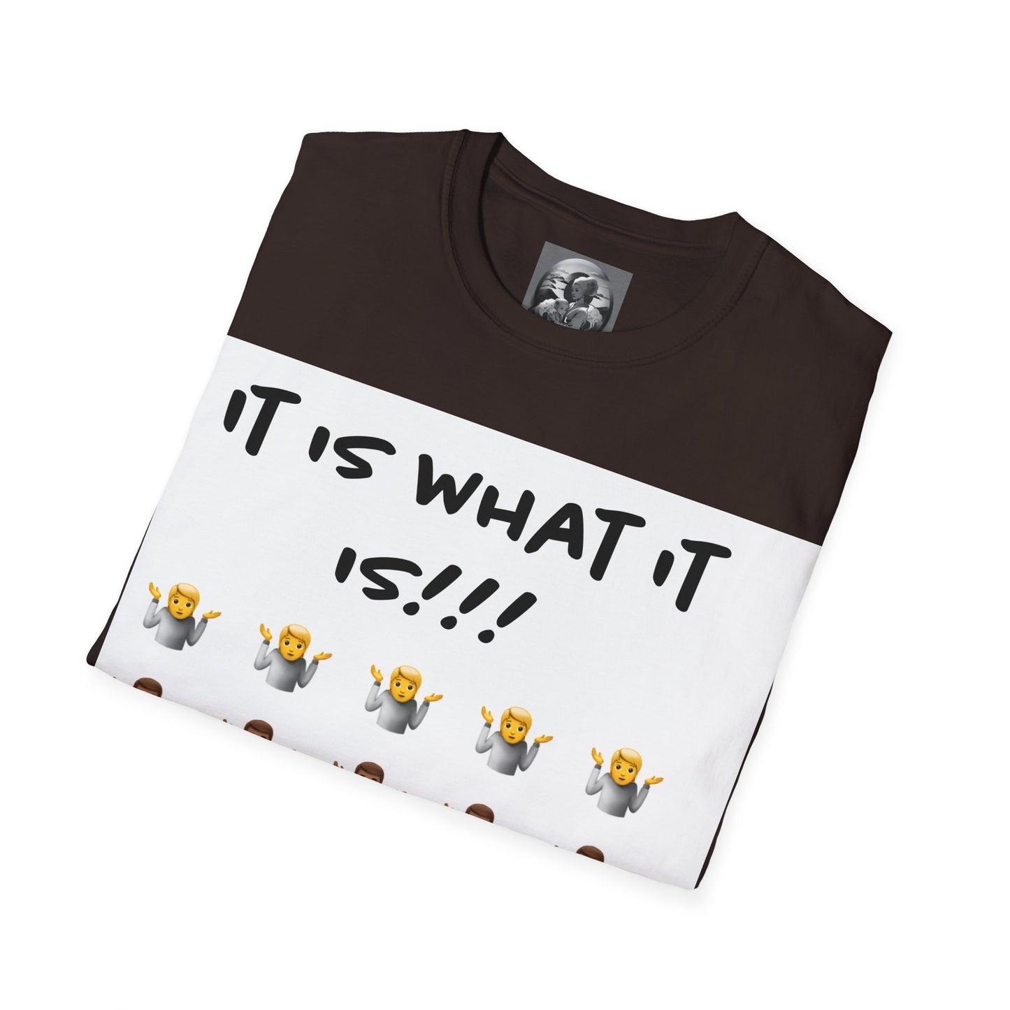 "It is what it is male" Single Print Unisex Softstyle T-Shirt