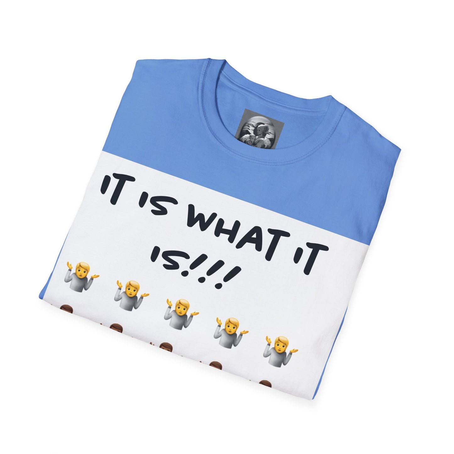 "It is what it is male" Single Print Unisex Softstyle T-Shirt