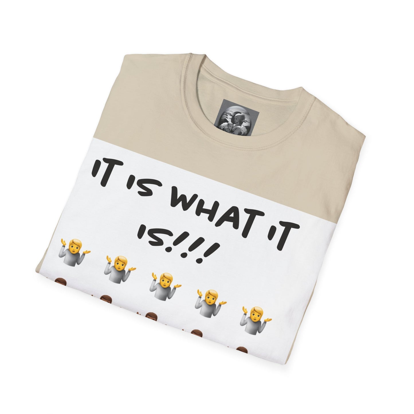 "It is what it is male" Single Print Unisex Softstyle T-Shirt