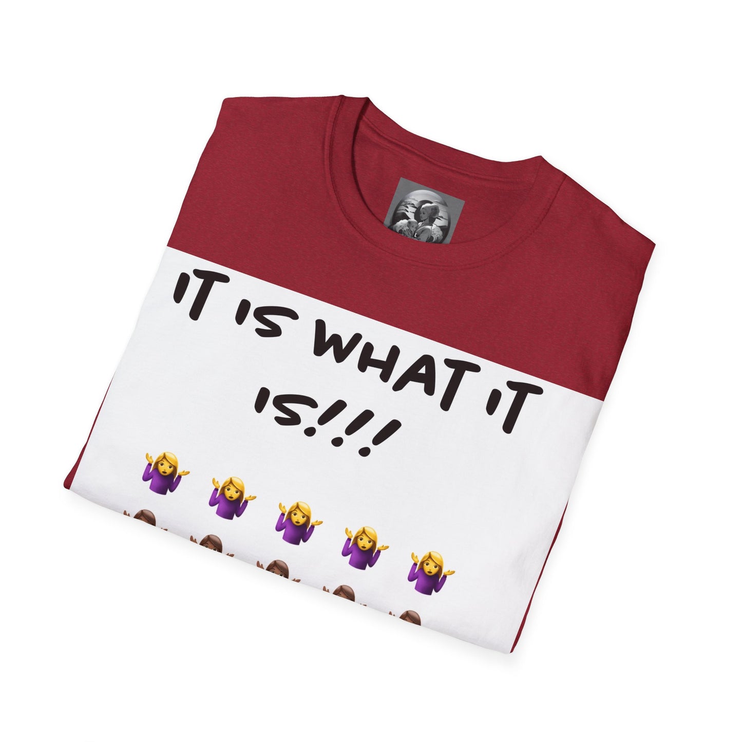 "It is what it is female" Single PrintUnisex Softstyle T-Shirt