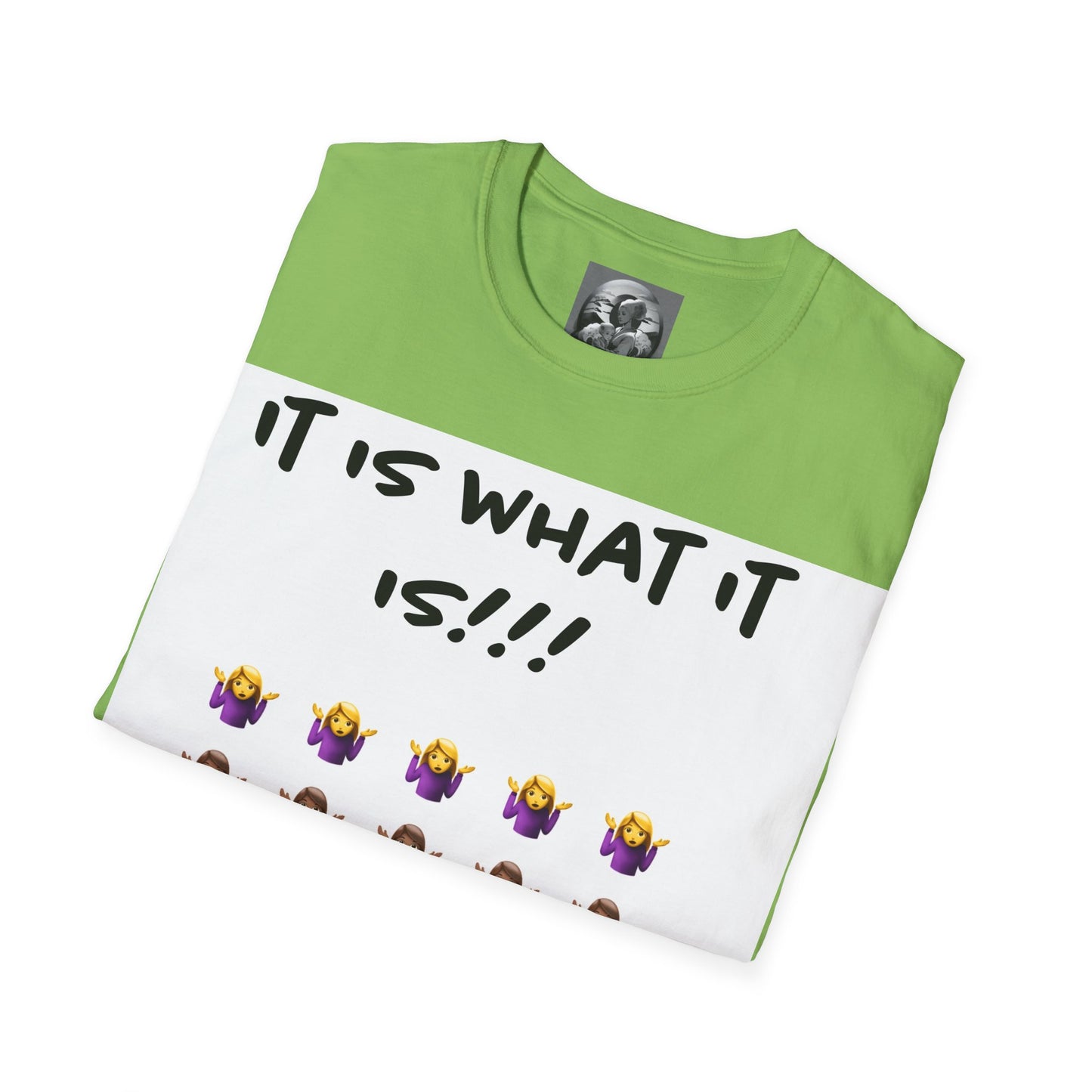 "It is what it is female" Single PrintUnisex Softstyle T-Shirt