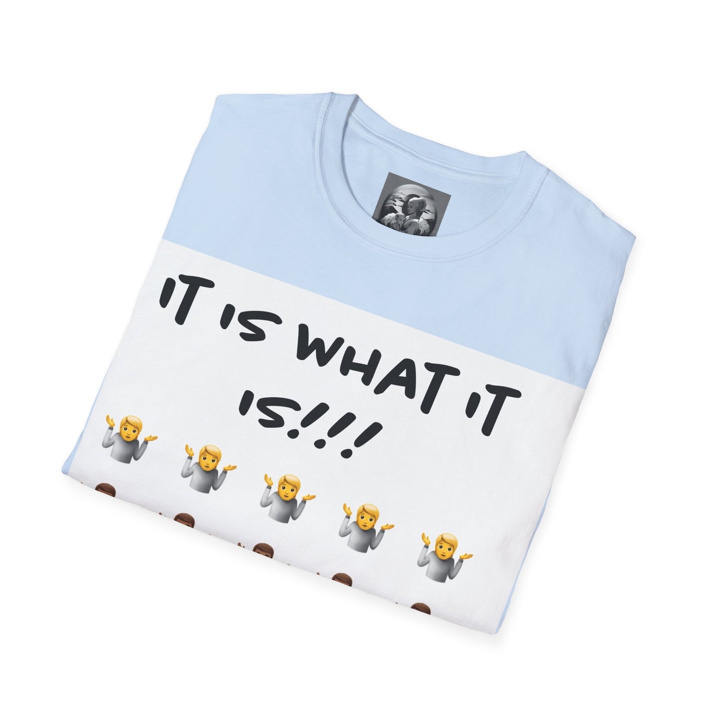 "It is what it is male" Single Print Unisex Softstyle T-Shirt