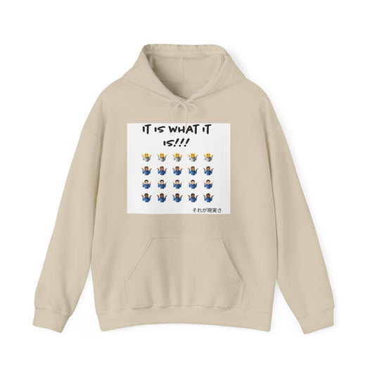 "It is what it is male" Single Print Unisex Heavy Blend™ Hooded Sweatshirt