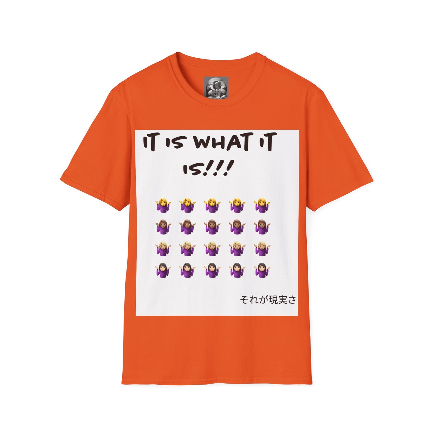 "It is what it is female" Single PrintUnisex Softstyle T-Shirt