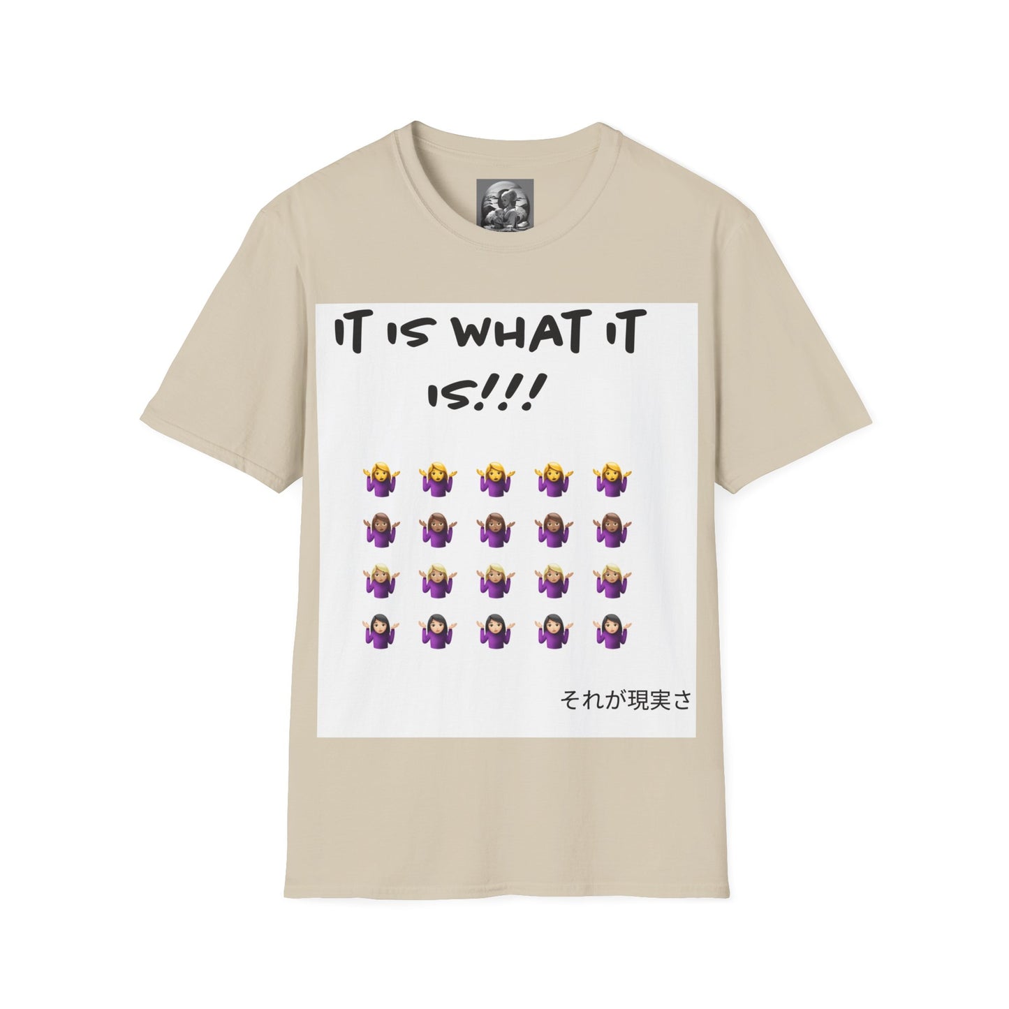 "It is what it is female" Single PrintUnisex Softstyle T-Shirt