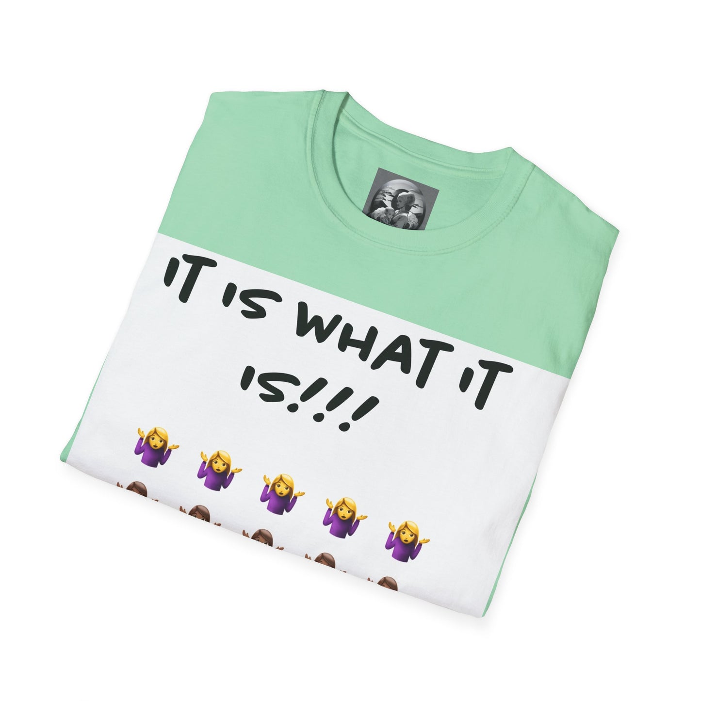 "It is what it is female" Single PrintUnisex Softstyle T-Shirt